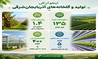 بیش از ۱.۴ میلیون تن انواع محصولات باغی در سال جاری در آذربایجان‌شرقی برداشت می‌شود