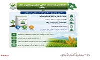 اینفوگرافی اقدامات شرکت خدمات حمایتی کشاورزی در جنگ رمضان