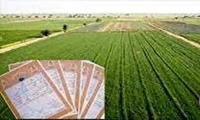 سنددار شدن هزاران هکتار از اراضی ملی واگذار شده کهگیلویه و بویراحمد در سال ۱۴۰۴