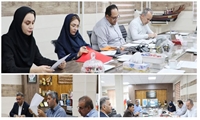 قاطعیت در دریا؛ ۱۸ تخلف صیادی در بوشهر به میز قانون رسید