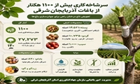 سرشاخه‌کاری ۱۱۰۰ هکتار از باغات آذربایجان‌شرقی  