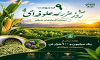 تولید سالانه  بیش از یک میلیون تن محصول علوفه‌ای در آذربایجان شرقی 