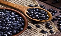 نخستین ارقام لوبیای سیاه ایرانی آماده ورود به چرخه تولید 