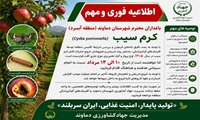 اطلاعیه آغاز زمان مناسب مبارزه با آفت کرم سیب