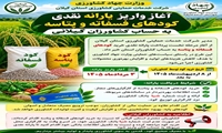 واریز یارانه نقدی کودهای فسفاته و پتاسه به حساب کشاورزان گیلانی