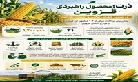  ذرت محصول راهبردی قزوین ، در مسیر جهش تولید و امنیت غذایی 