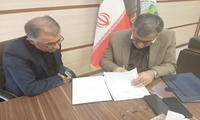  انعقاد تفاهم‌نامه مدیریت مشارکتی جنگل‌کاری‌ بین منابع طبیعی و آبخیزداری استان تهران و شهرداری رودهن 