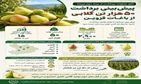 پیش‌بینی برداشت ۵۰ هزار تن گلابی از باغات قزوین