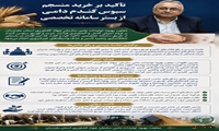 تاکید بر خرید منسجم سبوس گندم دامی از بستر سامانه تخصصی