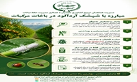 مبارزه با شپشک آرد آلود در باغات مرکبات