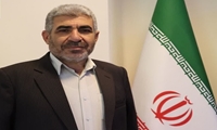 خرید قریب به 300 هزار تن گندم در استان زنجان