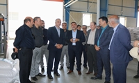 مطالبات گندمکاران تا پایان شهریور تسویه می‌شود