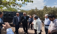 دستاورد سفر سرپرست معاونت آب و خاک به استان زنجان؛ توسعه زیرساخت‌های آب و خاک تا تولید پایدار