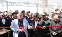 تکمیل زنجیره فرآوری لبنیات در اردبیل با حمایت از سرمایه‌گذاری بخش خصوصی