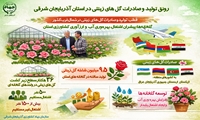آذربایجان شرقی؛ قطب نوظهور تولید و صادرات گل‌های زینتی در شمال‌غرب کشور