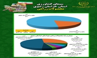 اینفوگرافی تولید محصولات زراعی در خراسان رضوی