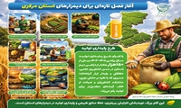  اینفوگرافی| آغاز فصل تازه‌ برای دیمزارهای استان مرکزی