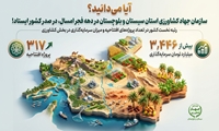 رتبه نخست سیستان بلوچستان درکشور در تعداد پروژه های افتتاحیه و میزان سرمایه گذاری در بخش کشاورزی