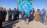 کلنگ‌زنی شهرک دام سبک مگافارم زارچ همزمان با دهه مبارک فجر