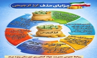 اینفوگرافی مزایای  انتقال ارز ترجیحی از اول زنجیره به انتهای زنجیره