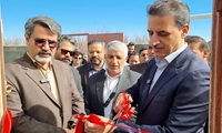 مراسم افتتاح گلخانه تولید سبزی و صیفی همزمان با دهه فجر در ابرکوه