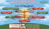 اینفو گرافی/ افتتاح و آغاز عملیات اجرایی ۲۱۴ پروژه عمرانی و اقتصادی در استان مرکزی