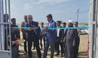 بهره برداری از یک واحد دامپروری با ظرفیت ۸۰۷ رأس در شهرستان سیریک