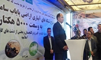 5 هزار هکتار از طرح سامانه گرمسیری استان ایلام بهره‌برداری شد