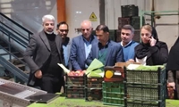 بازدید از سردخانه محل ذخیره‌سازی میوه تنظیم بازار شیراز