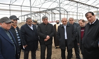 بازدید معاون وزیر جهاد کشاورزی از گلخانه هیدروپونیک در حال احداث مراغه