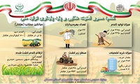 میزان تولید، برداشت و خرید تضمینی گندم در استان همدان (سال ١۴٠۴)