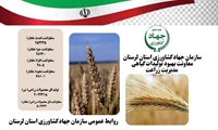 گزارش عملکرد سال زراعی ۱۴۰۴_۱۴۰۳ محصولات شاخص زراعی مدیریت زراعت سازمان جهاد کشاورزی لرستان 
