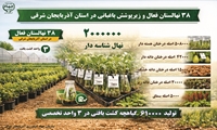 تولید ۶۱۰ هزار گیاهچه کشت بافتی در ۳ واحد تخصصی؛ گام فناورانه باغبانی استان آذربایجان شرقی
