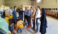 تشکیل ستاد بحران ویژه ملخ صحرایی همزمان با دومین روز کارگاه آموزشی در جنوب کرمان