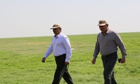جازموریان در باتلاق سربازان امنیت غذایی جهاد کشاورزی جنوب کرمان
