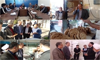 رایزنی سرپرست اداره کل غله مازندران با فرمانداران و بازدید میدانی از نانوایی‌های شرق استان 