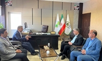 پیگیری راه‌اندازی کمپ تثبیت شن‌های روان در حوزه تالاب جازموریان در جنوب کرمان