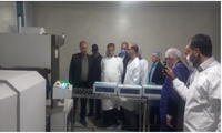 ۲۵ هزار تن ظرفیت جدید فرآوری آبزیان در استان مرکزی؛ سه گام بلند برای مهار تورم و امنیت غذایی