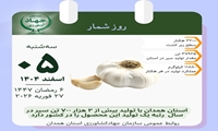 همدان‌ قطب‌ تولید‌ سیر‌ در‌ ایران