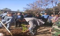 پویش «جهادگران سبز اندیش» در آستانه هفته منابع طبیعی؛ مشارکت سازمان جهاد کشاورزی استان کرمان برای کاشت یک میلیارد درخت