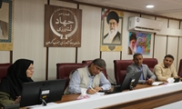 جلسه ستاد بحران ملخ در جنوب کرمان برگزار شد.