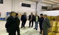 با همراهی مدیرکل شیلات هرمزگان بازدید مدیران ارشد بازرسی کشور از ظرفیت‌های شیلاتی شهرستان قشم