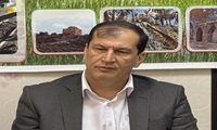 رفع موانع صادرات انار و توسعه صنایع تبدیلی در فارس