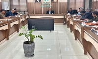 جلسه هماهنگی کشوری و استانی با محوریت تامین و توزیع بذر در استان هرمزگان برگزار شد