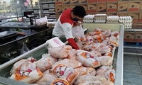 آخرین  وضعیت بازار کالاهای اساسی در استان تهران؛ پس از حذف ارز ترجیحی