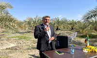 برگزاری روز مزرعه استانی سرخرطومی حنایی خرما در شهرستان منوجان