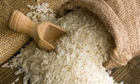 آغاز توزیع ۷۰۰ تن برنج تنظیم بازار در فروشگاه‌های خراسان شمالی