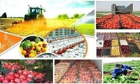 توسعه صنایع تبدیلی در همدان؛ گامی بلند برای اشتغال و جلوگیری از اتلاف محصولات کشاورزی