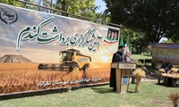 افزایش ۲۵ درصدی عملکرد گندم در شهرستان نظرآباد