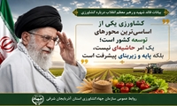 کشاورزی؛ محور راهبردی توسعه در نگاه رهبر شهید انقلاب